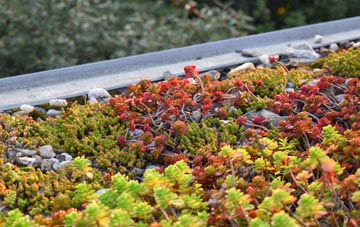 the cost of Tedstone Wafer green roof installation