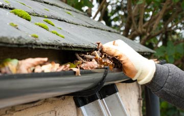 gutter cleaning Tedstone Wafer, Herefordshire