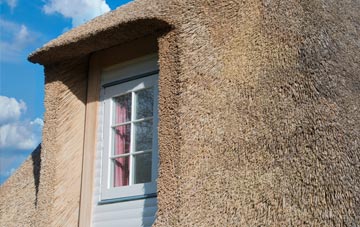 Tedstone Wafer thatch roof disadvantages